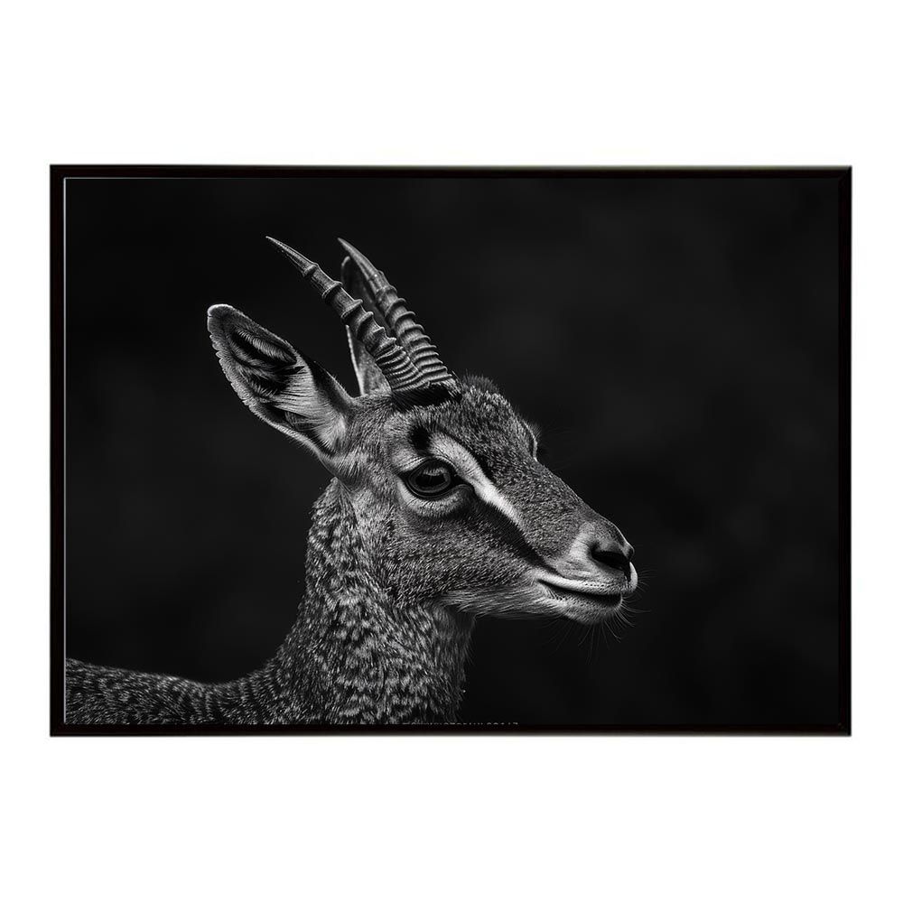 珍品 レア品 化石 コレクション 標本