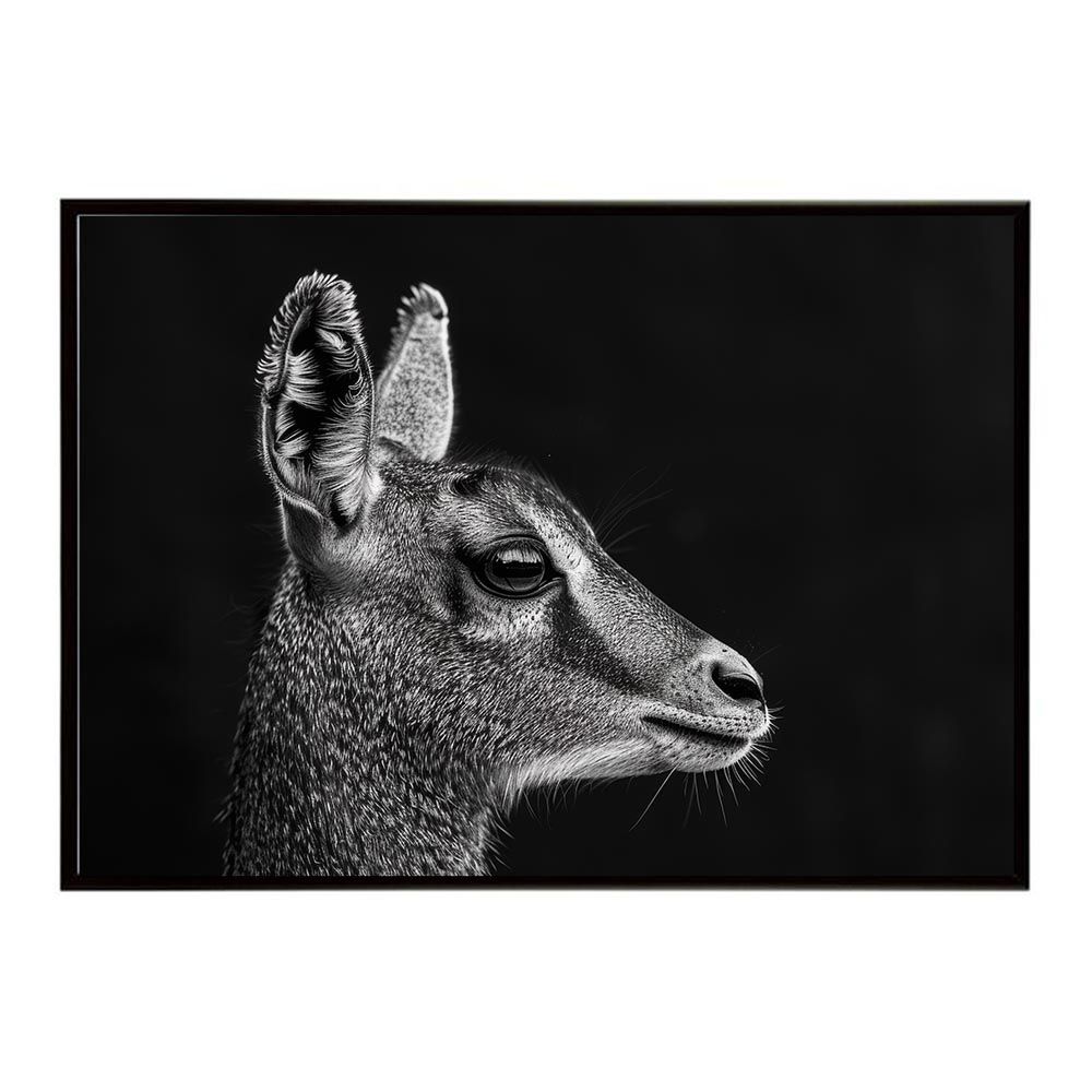 A2サイズ（約42x59cm）】【lh-poster-6697】Klipspringer クリップ