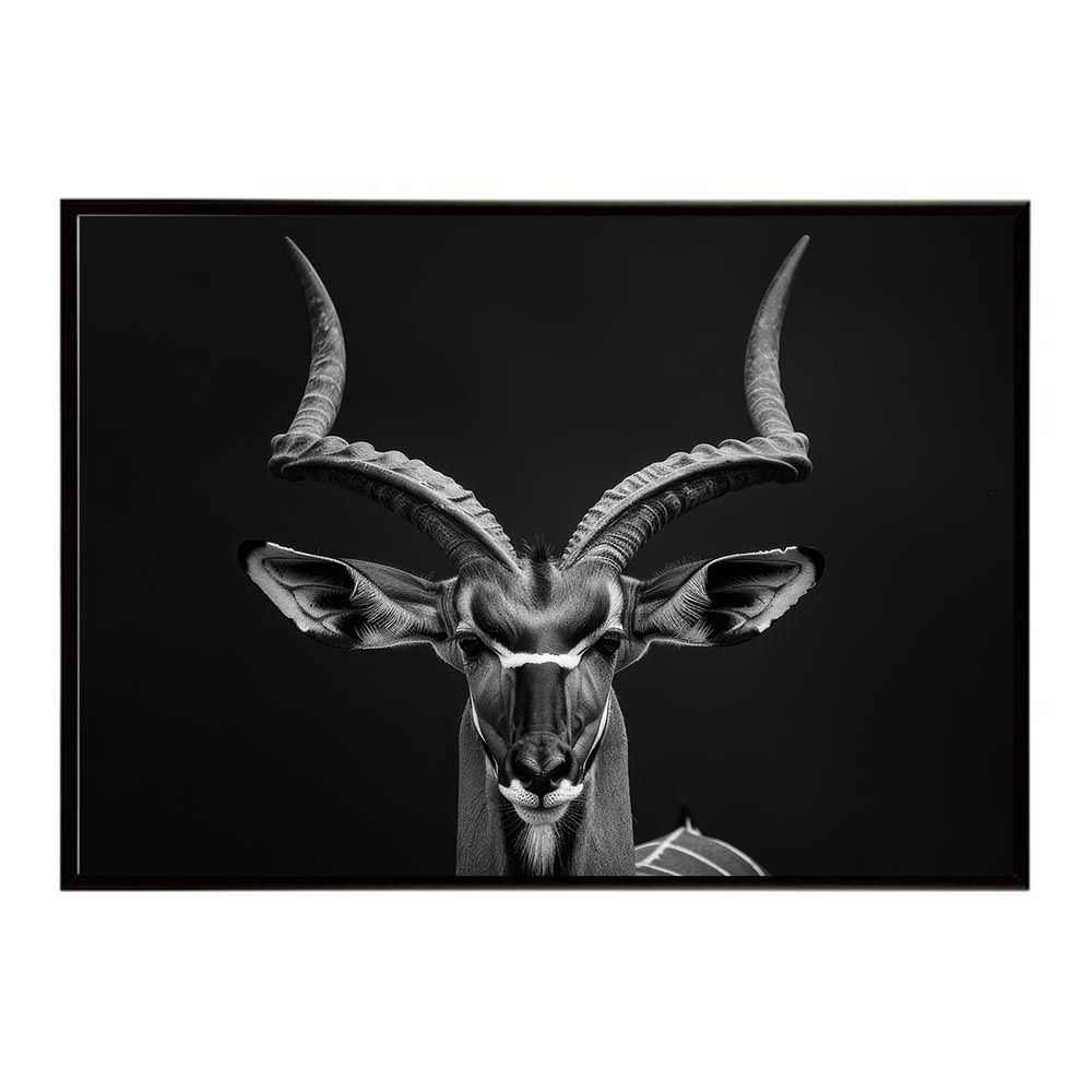 ASICS ホワイト スパイクシューズGOLDステージ3 27.5cm 錦鯉7kg1610585【スマック】