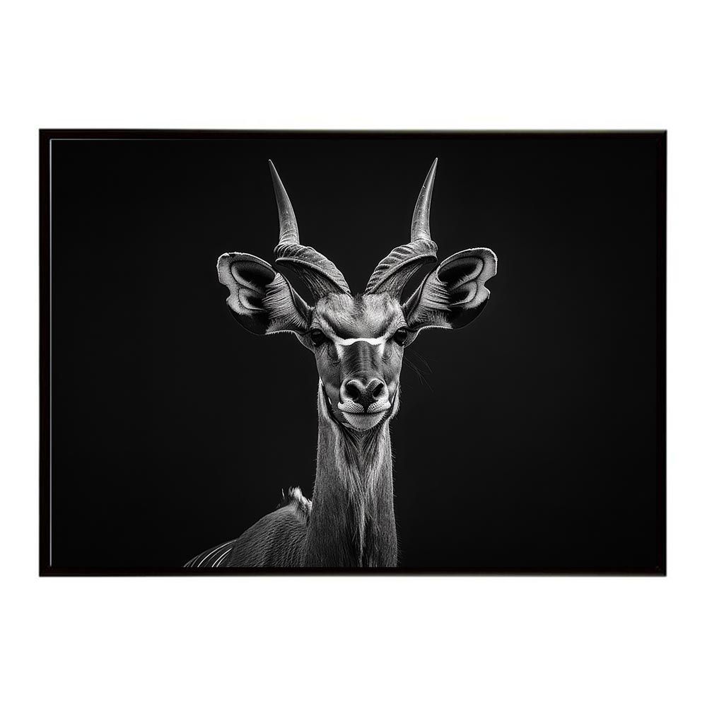 旧家蔵出 巨大 浮き彫り 天然彫刻 黄楊木 宝刀 雙獅·龍彫刻 鎮座 鎮宅置物