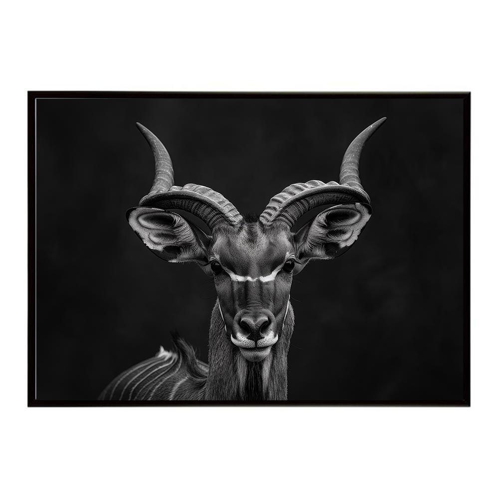 B4サイズ（約25x36cm）】【lh-poster-6706】Kudu クーズ クード