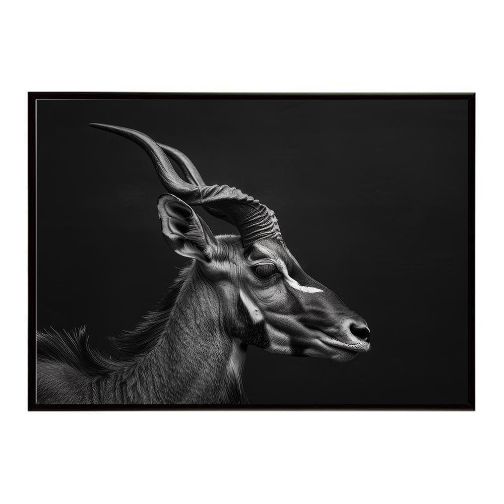 A1サイズ（約59x84cm）】【lh-poster-6494】Hartebeest ハーテビースト
