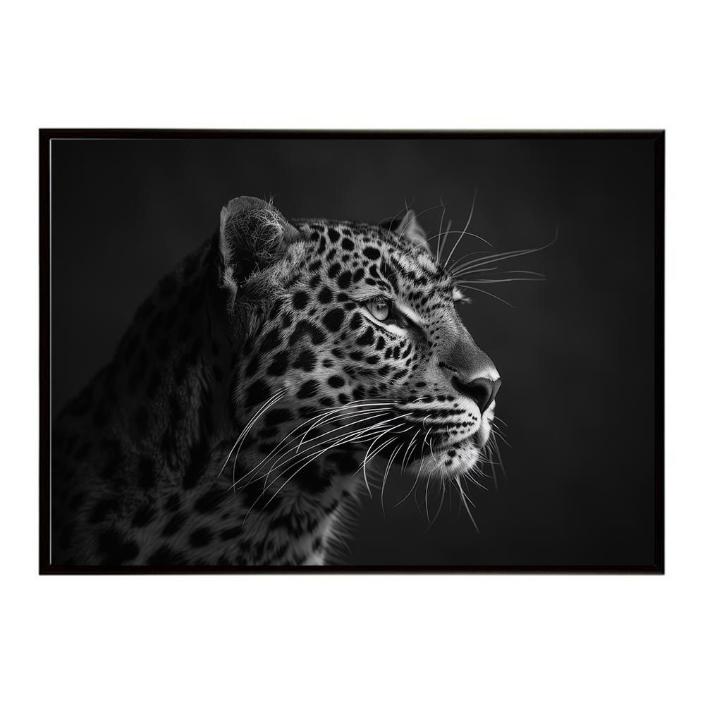 A3サイズ（約30×42cm）】【lh-poster-6726】Leopard ヒョウ レパード サバンナ アフリカ 草原 自然, image size:1000x1000