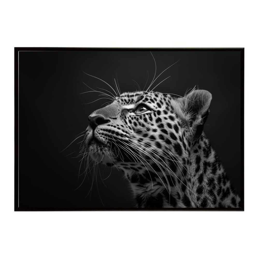 ワコールサルート46グループ C70、Mサイズ 6点フルセットです