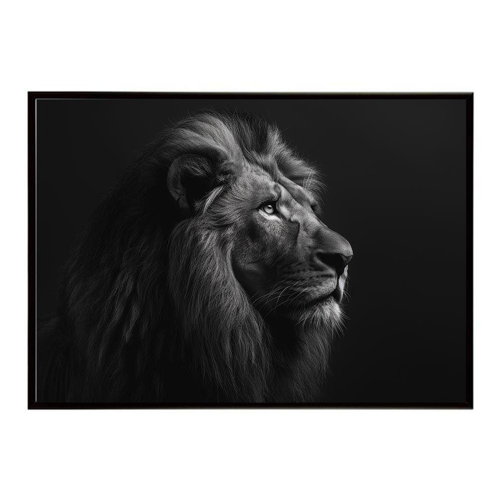【B2サイズ（約51x73cm）】【lh-poster-6751】Lion ライオン サバンナ アフリカ 草原 自然 ネイチャー 動物 アニマル 野生動物 写真 猫ポスター インテリア フォト