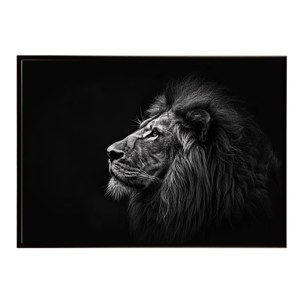 B2サイズ（約51x73cm）】【lh-poster-6755】Lion ライオン サバンナ
