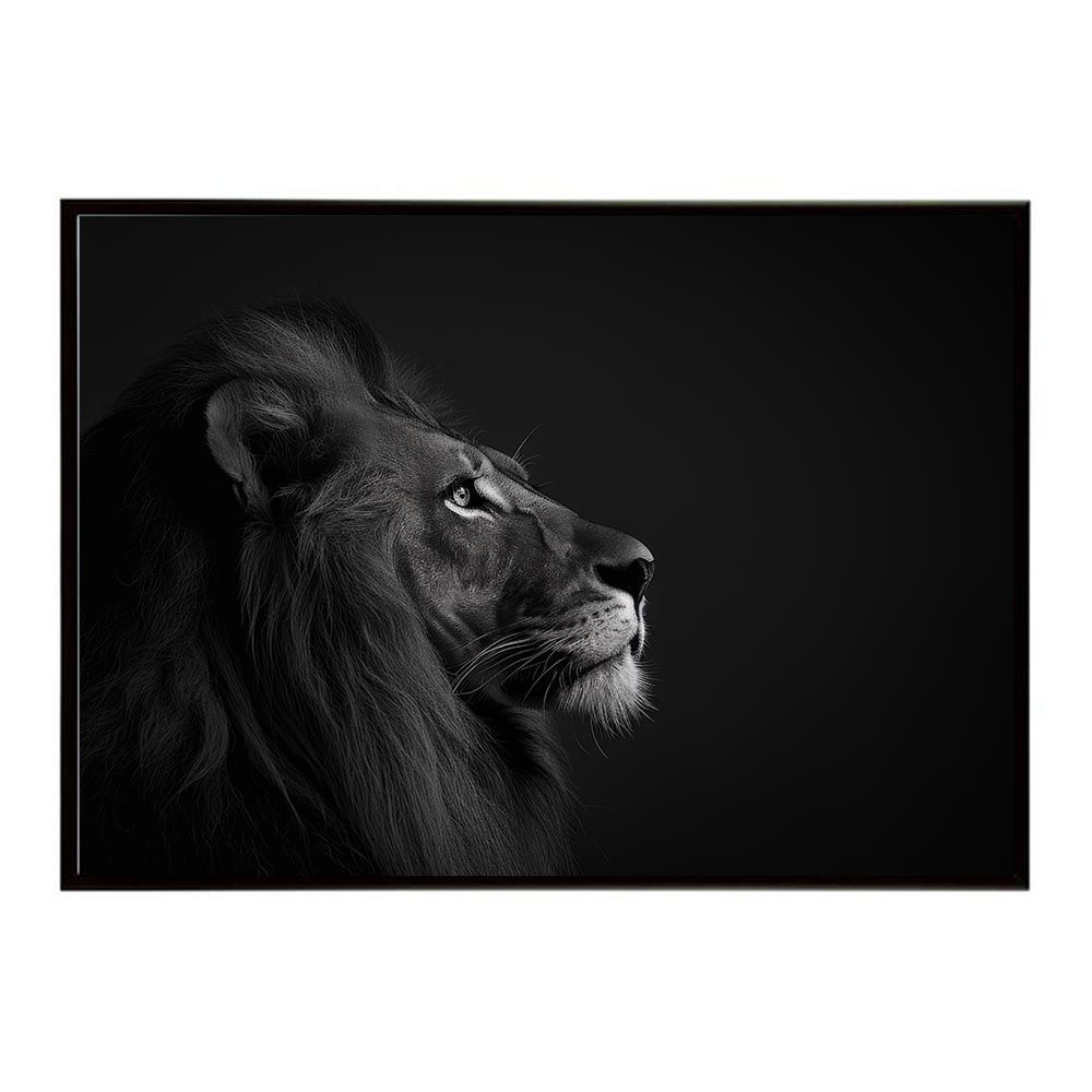 A2サイズ（約42x59cm）】【lh-poster-6761】Lion ライオン サバンナ