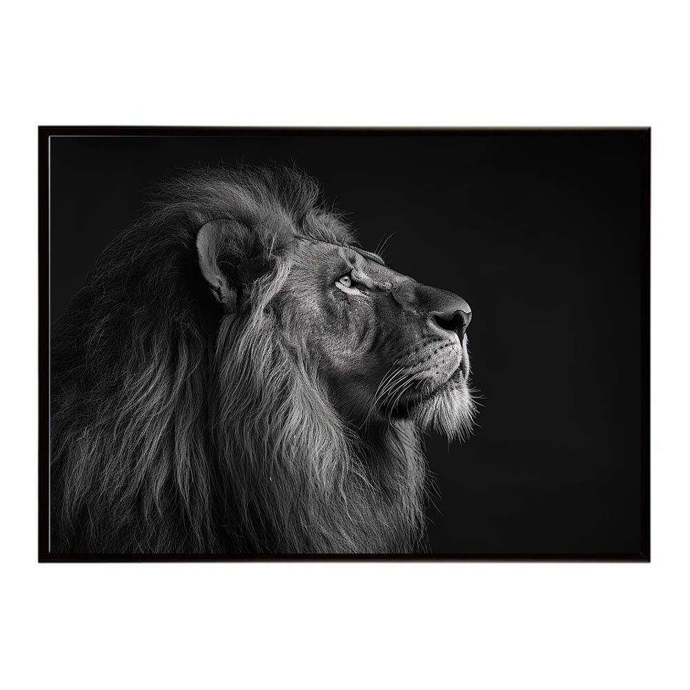 B2サイズ（約51x73cm）】【lh-poster-6772】Lion ライオン サバンナ