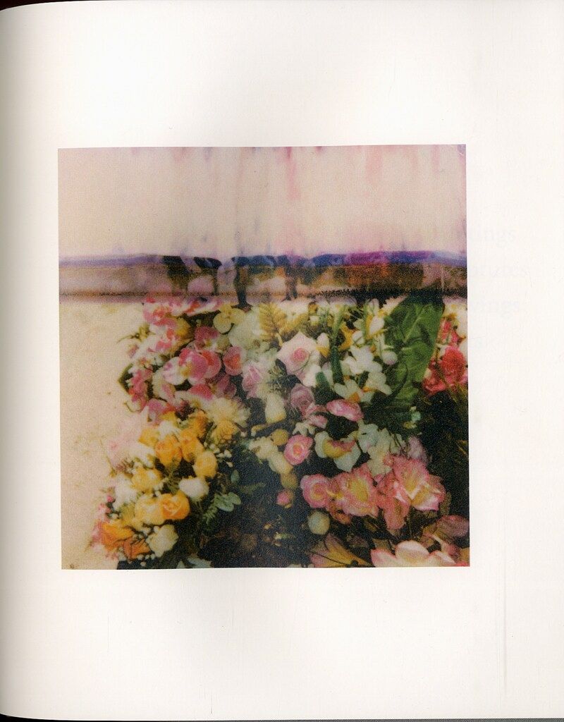 Cy Twombly サイ トゥオンブリーの写真 変奏のリリシズム