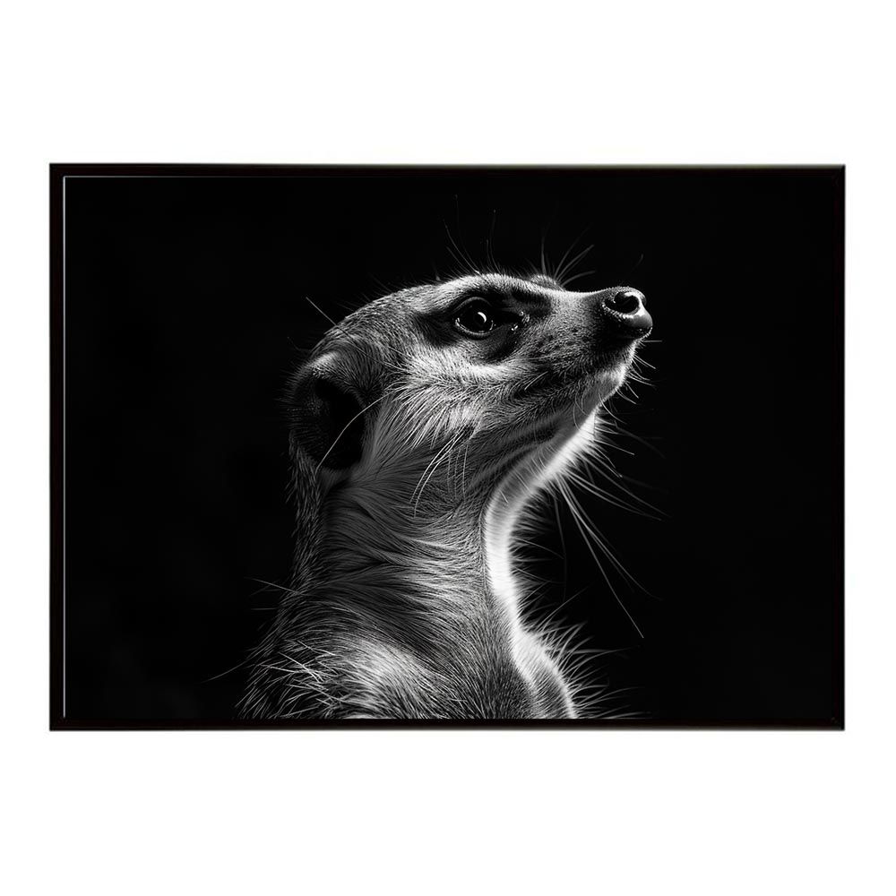 B2サイズ（約51x73cm）】【lh-poster-6776】Meerkat ミーアキャット