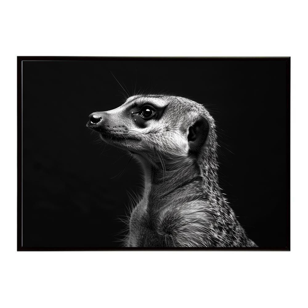 【B1サイズ（約73x103cm）】【lh-poster-6777】Meerkat ミーアキャット サバンナ アフリカ 草原 自然 ネイチャー 動物 アニマル 野生動物 インテリア フォト 