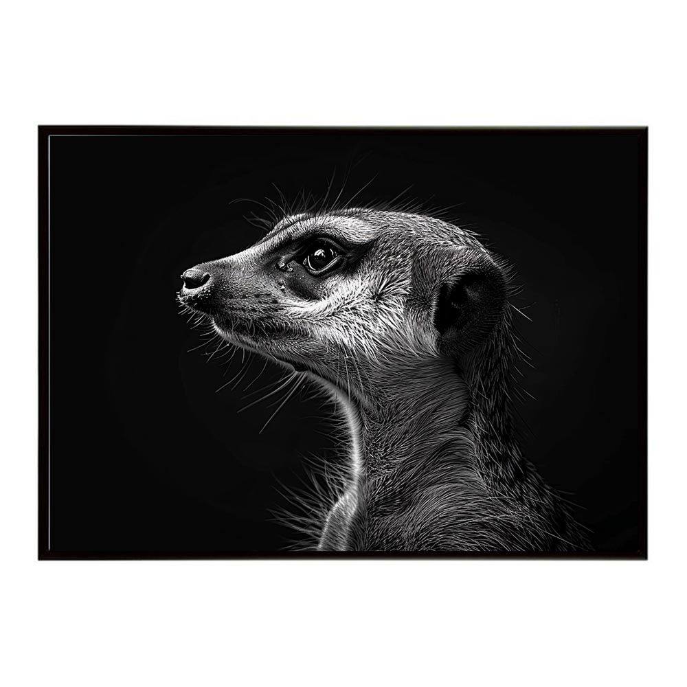 A1サイズ（約59x84cm）】【lh-poster-6779】Meerkat ミーアキャット