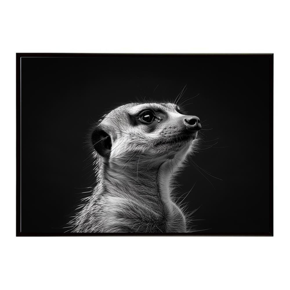 【B1サイズ（約73x103cm）】【lh-poster-6785】Meerkat ミーアキャット サバンナ アフリカ 草原 自然 ネイチャー 動物 アニマル 野生動物 インテリア フォト 