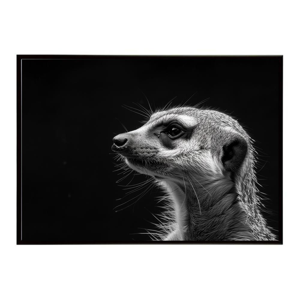 配送 【B2サイズ（約51x73cm）】【lh-poster-6786】Meerkat ミーア