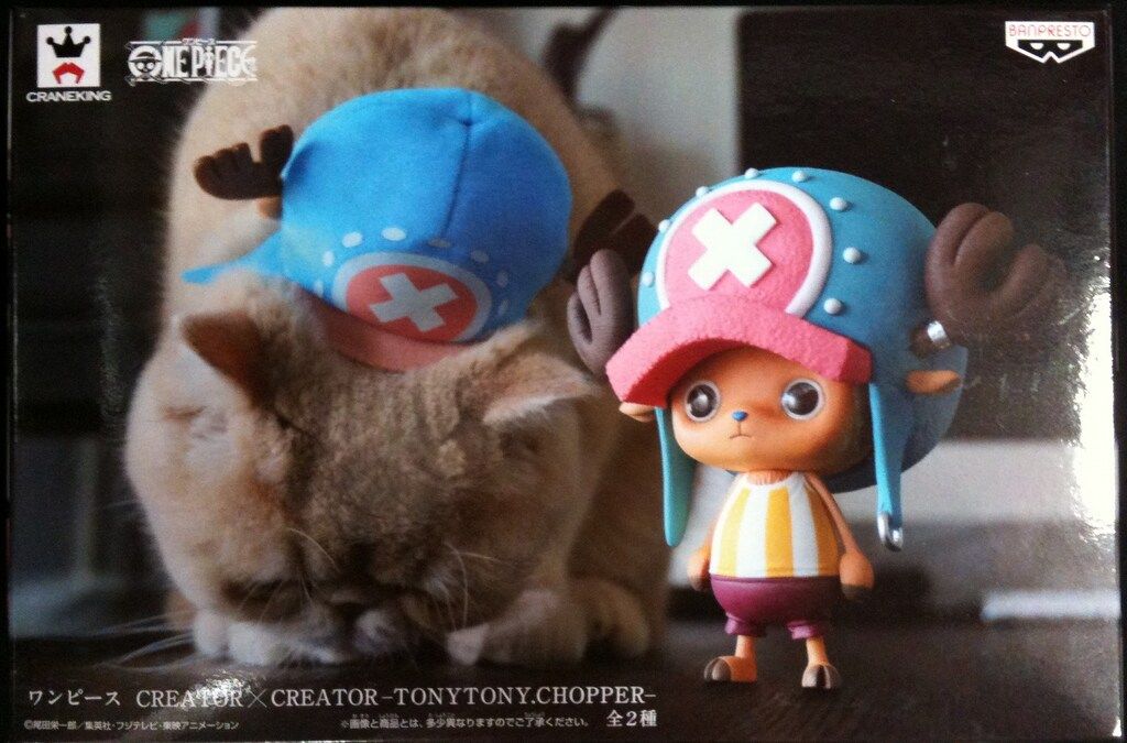 中国21弦古筝 王天一(国家一級作曲家)名入り