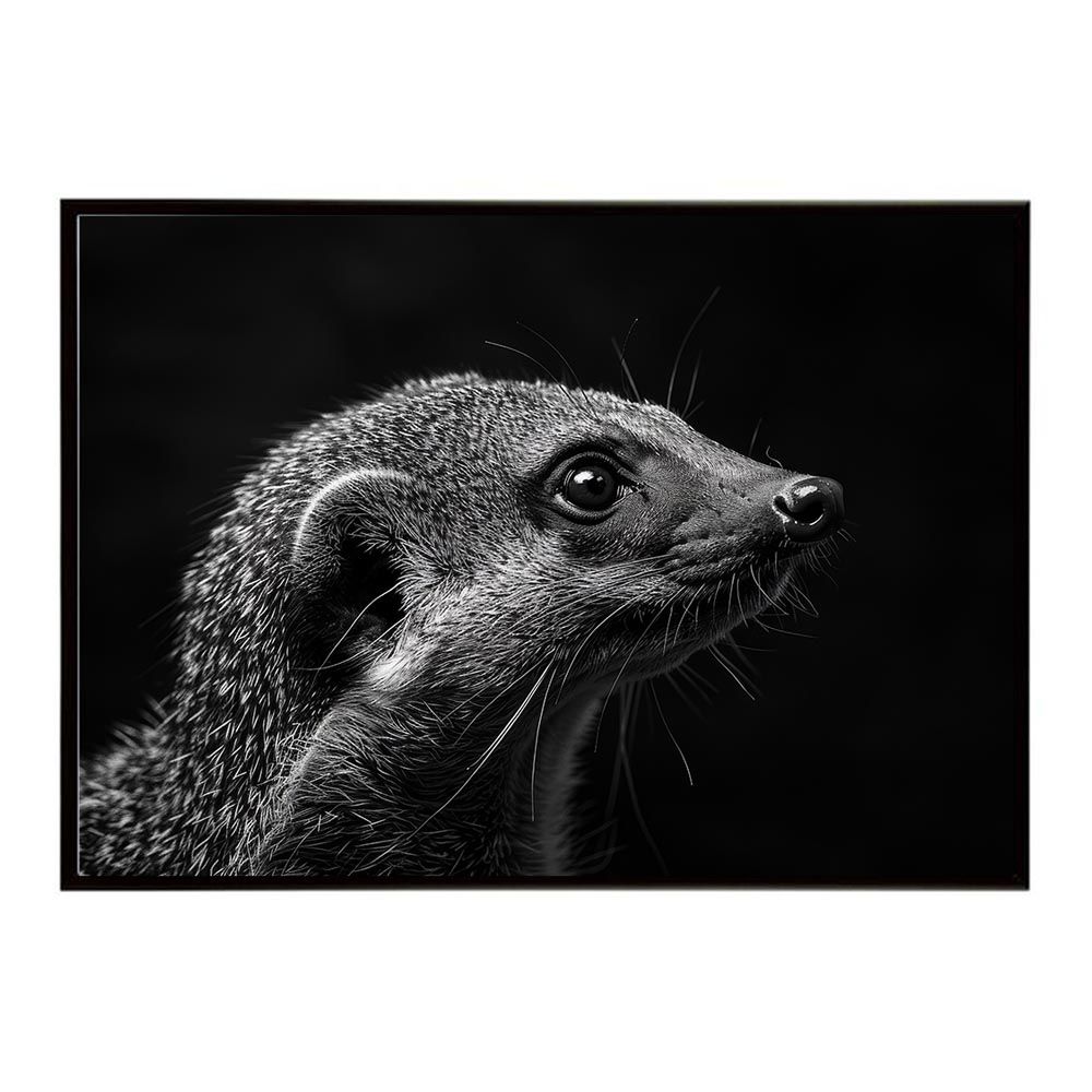 A2サイズ（約42x59cm）】【lh-poster-6808】Mongoose マングース