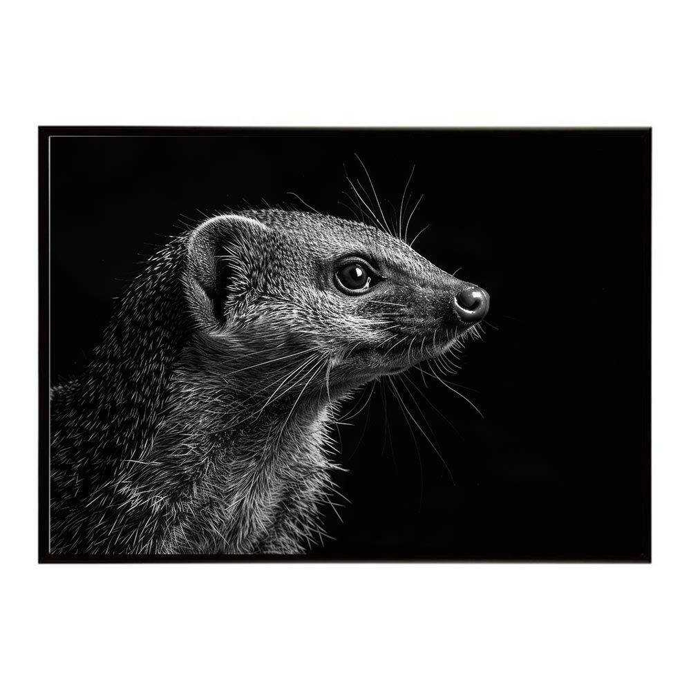 A1サイズ（約59x84cm）】【lh-poster-6810】Mongoose マングース
