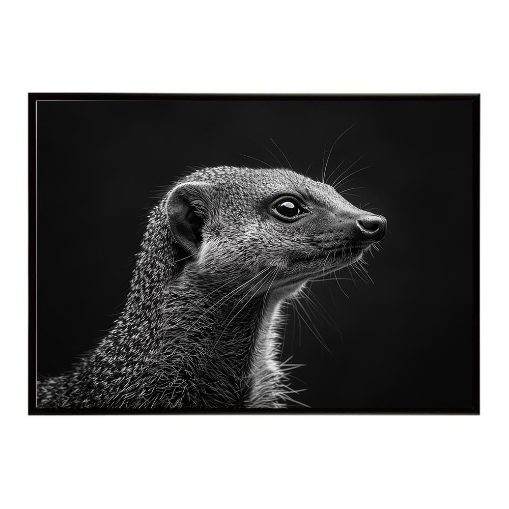 B2サイズ（約51x73cm）】【lh-poster-6811】Mongoose マングース