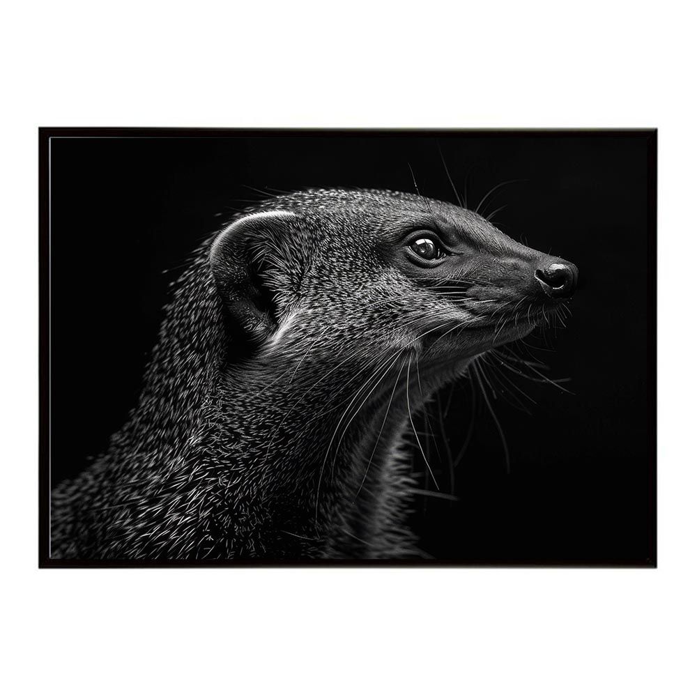A2サイズ（約42x59cm）】【lh-poster-6812】Mongoose マングース
