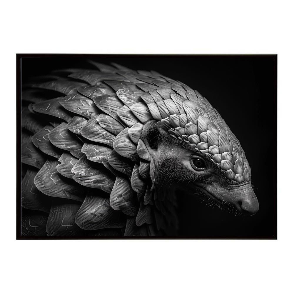 希少 大判リトグラフ ダン・パルトゥシュ 「シクラメン」