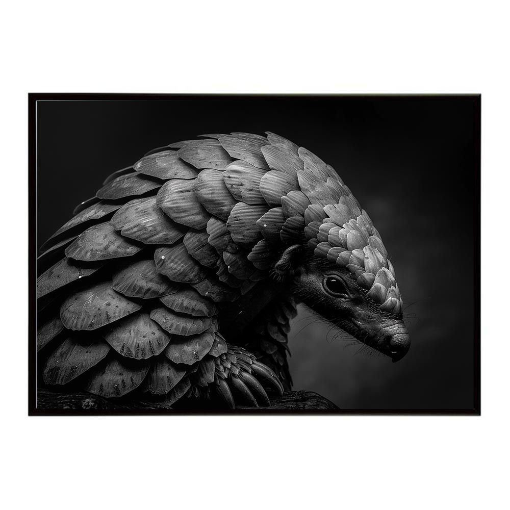 LOUIS XIII コニャック パッケージ ケースのみ