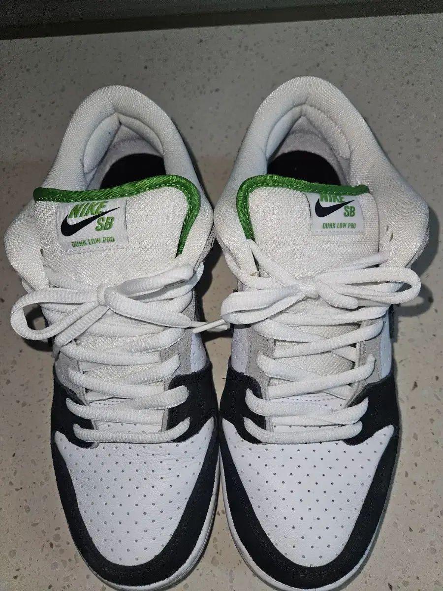 NIKE ダンク SB ロー プロ ブラック Classic グリーン 285