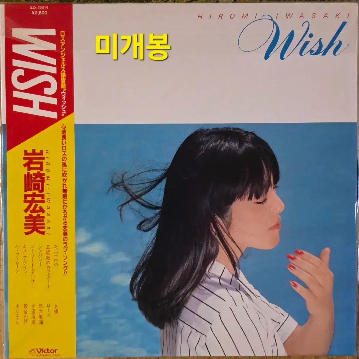 いわさき ヒロミ Wish LP