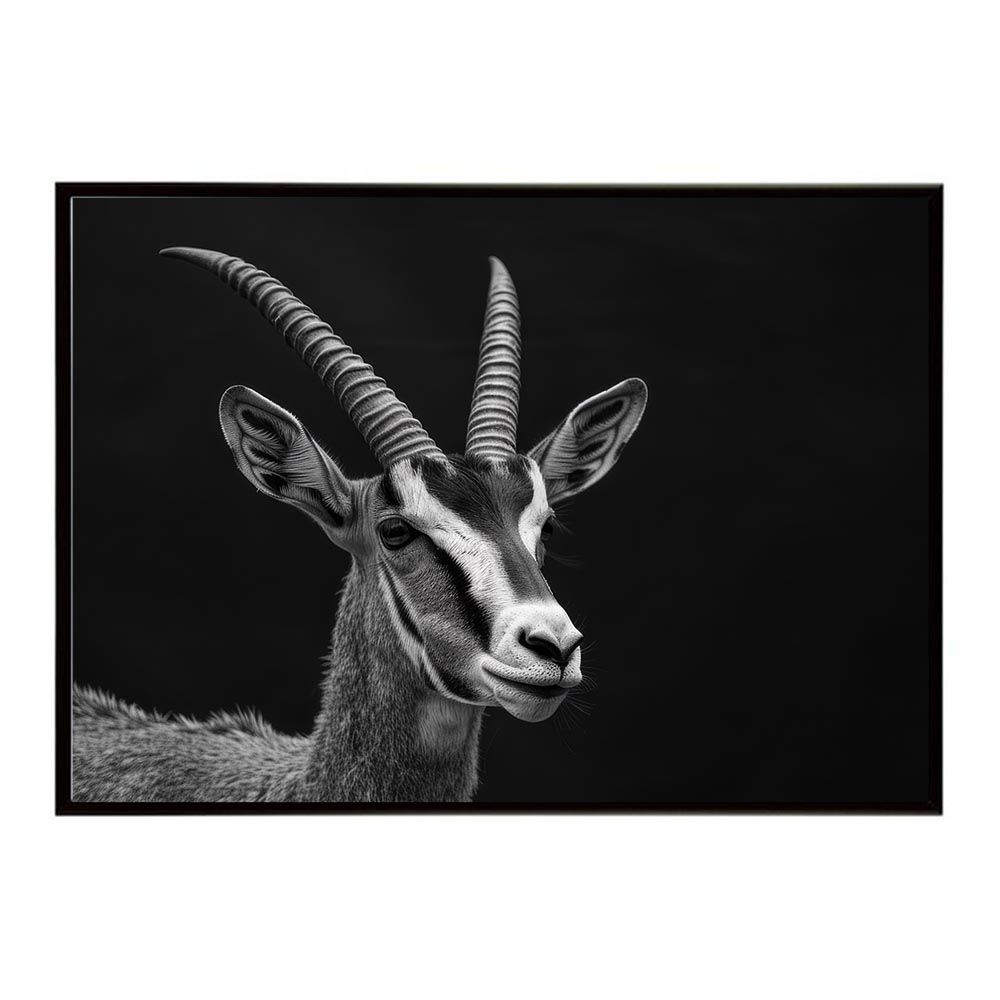 【B1サイズ（約73x103cm）】【lh-poster-6870】Roan antelope ローンアンテロープ サバンナ アフリカ 草原 自然 ネイチャー 動物 アニマル 野生動物 写真 鹿ポスター インテリア フォト 