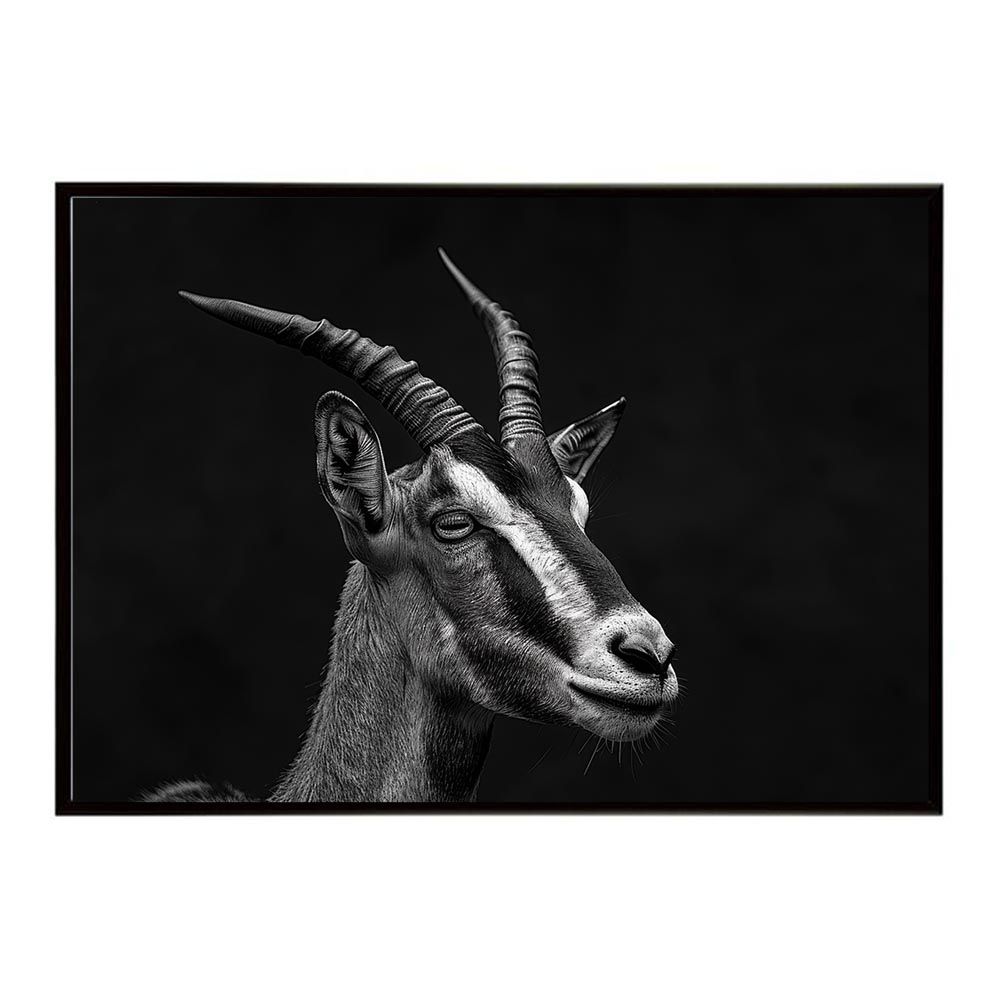 【B1サイズ（約73x103cm）】【lh-poster-6879】Roan antelope ローンアンテロープ サバンナ アフリカ 草原 自然 ネイチャー 動物 アニマル 野生動物 写真 鹿ポスター インテリア フォト 