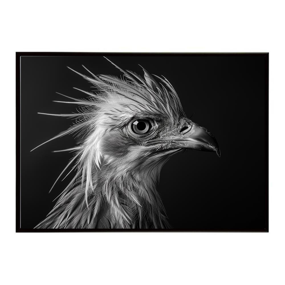 得価，HOT 【B1サイズ（約73x103cm）】【lh-poster-6887】Secretary bird セクレタリーバード サバンナ アフリカ 草原 自然 ネイチャー 動物 アニマル 野生動物 写真 鳥ポスター インテリア フォト レリーフ・アート