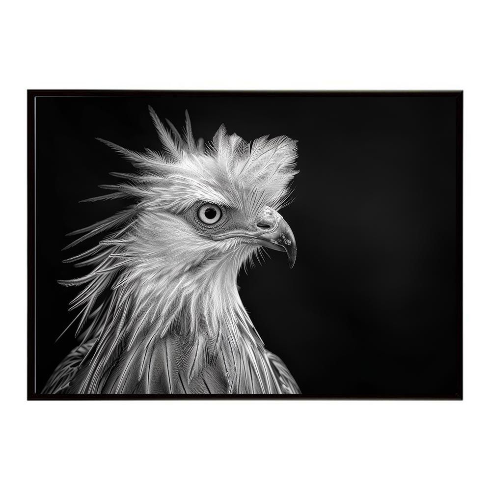 【B2サイズ（約51x73cm）】【lh-poster-6891】Secretary bird セクレタリーバード サバンナ アフリカ 草原 自然 ネイチャー 動物 アニマル 野生動物 写真 鳥ポスター インテリア フォト