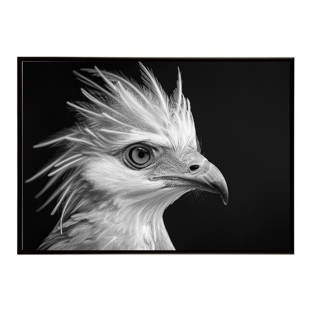 A2サイズ（約42x59cm）】【lh-poster-6892】Secretary bird
