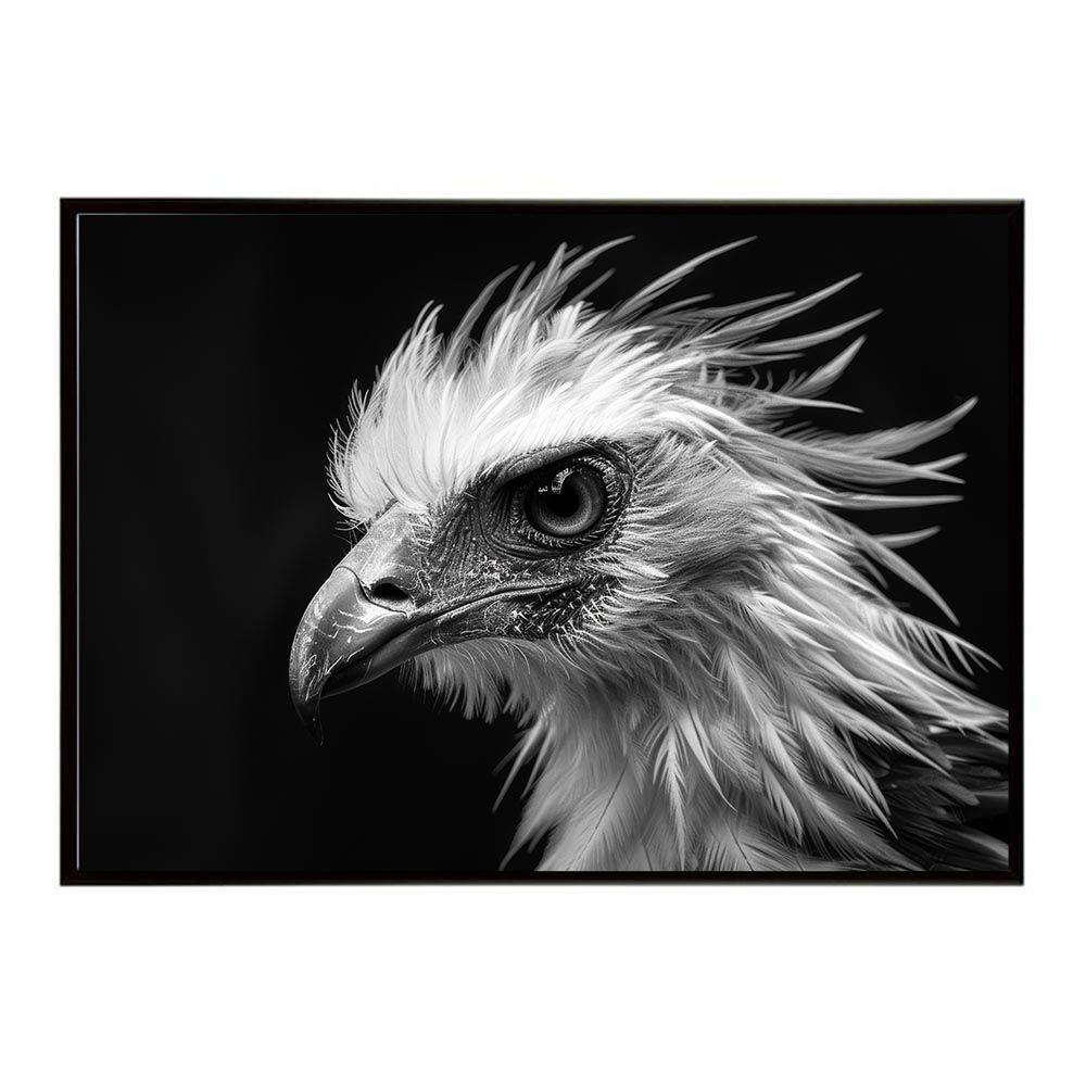 taka A3サイズ（約30×42cm）】【lh-poster-6894】Secretary bird