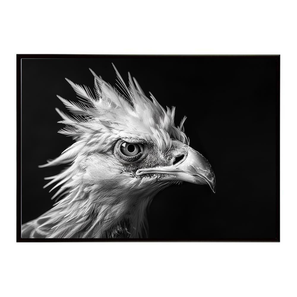 B2サイズ（約51x73cm）】【lh-poster-6895】Secretary bird