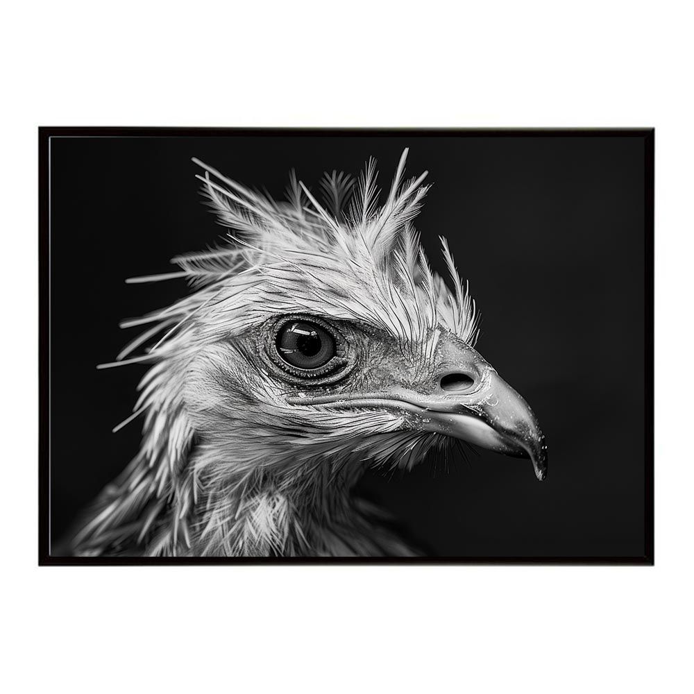 B2サイズ（約51x73cm）】【lh-poster-6906】Secretary bird