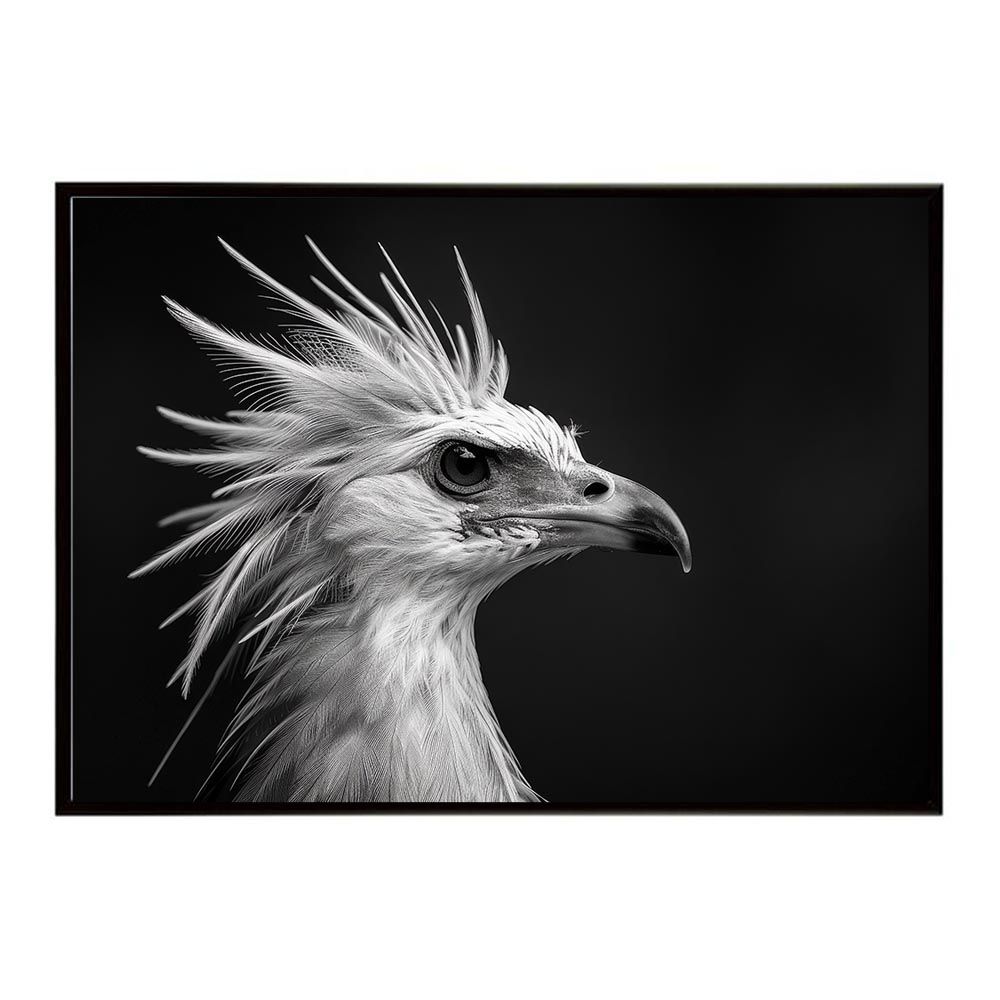 オンライン ゴーリーオバケクロツヤムシ76mm標本(ケース付き)