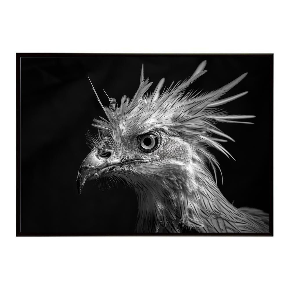 A2サイズ（約42x59cm）】【lh-poster-6905】Secretary bird