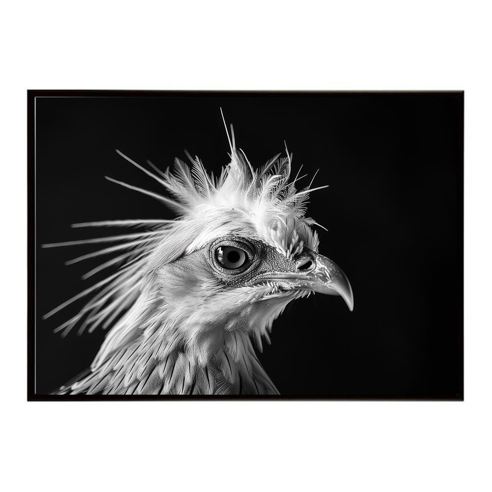 A1サイズ（約59x84cm）】【lh-poster-6908】Secretary bird
