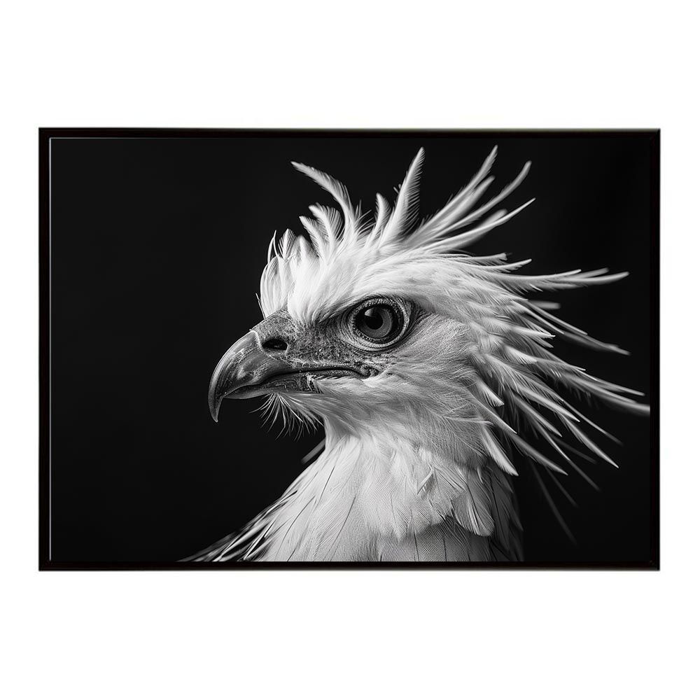 最新 【A1サイズ（約59x84cm）】【lh-poster-6911】Secretary bird