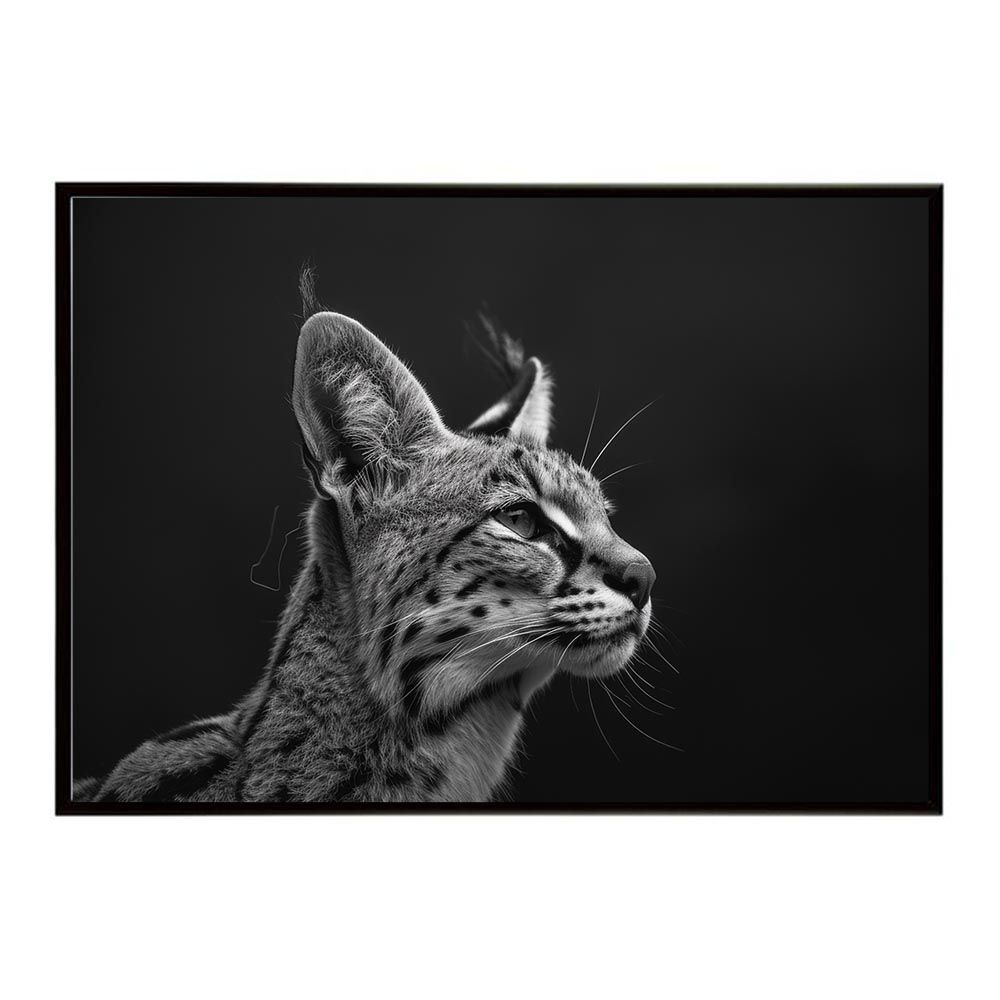 A1サイズ（約59x84cm）】【lh-poster-6926】Serval サーバル サーバルキャット サバンナ アフリカ 草原 自然 ネイチャー, image size:1000x1000