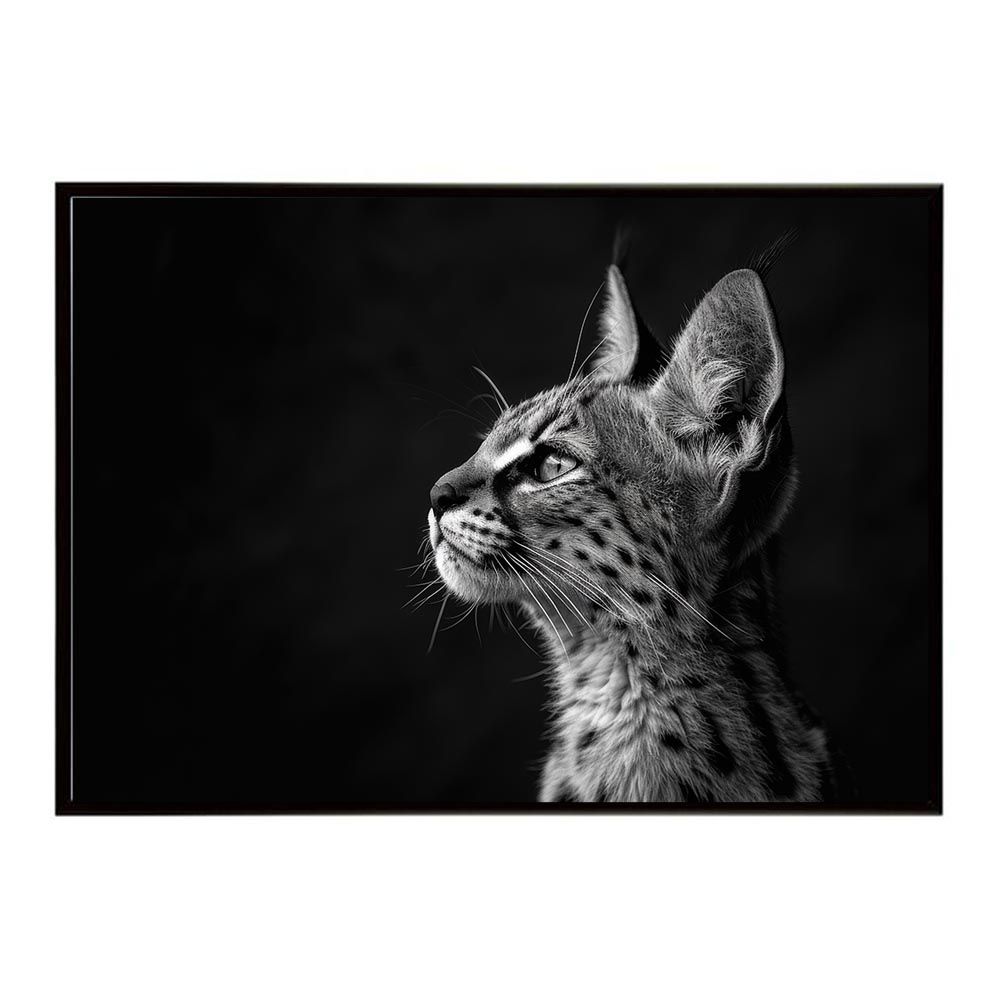A3サイズ（約30×42cm）】【lh-poster-6927】Serval サーバル サーバル