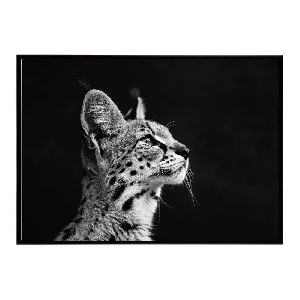 アニメBlu-ray 幽遊白書 Blu-ray BOX 1