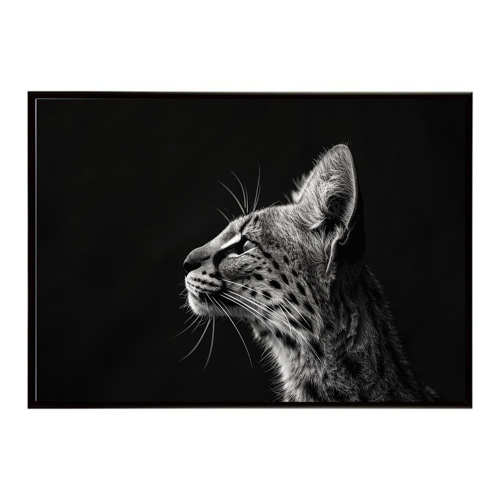 小物 Max Amazon.com: MOREL Maximo Ultra 692 Coax MKII 6