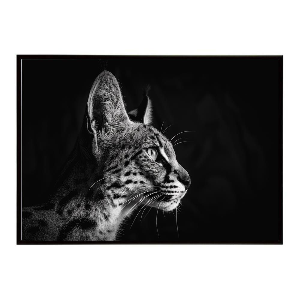 ブギ連 7inch付きアルバム