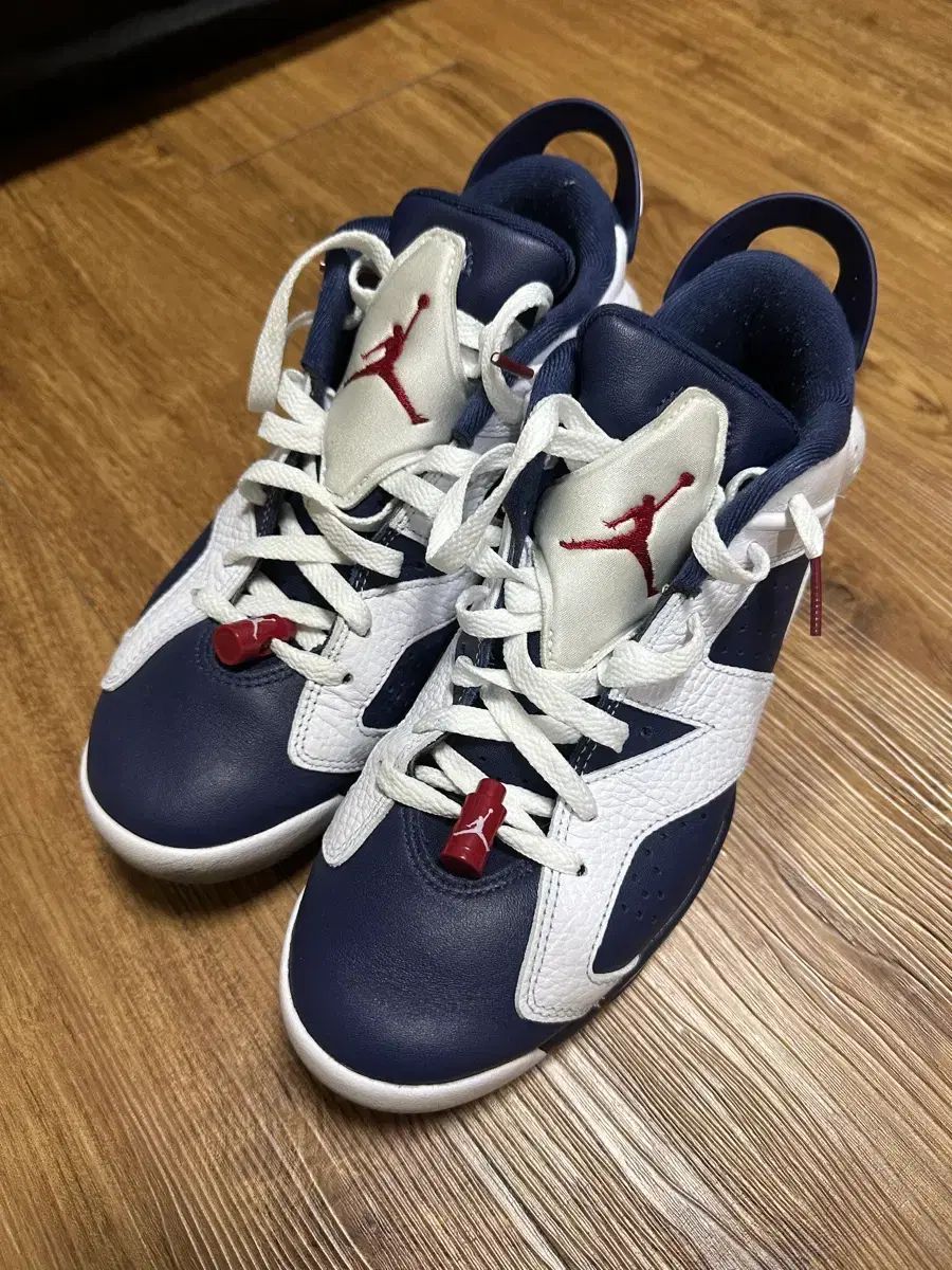 ジョーダン ゴルフ 人造芝 野球シューズ 260