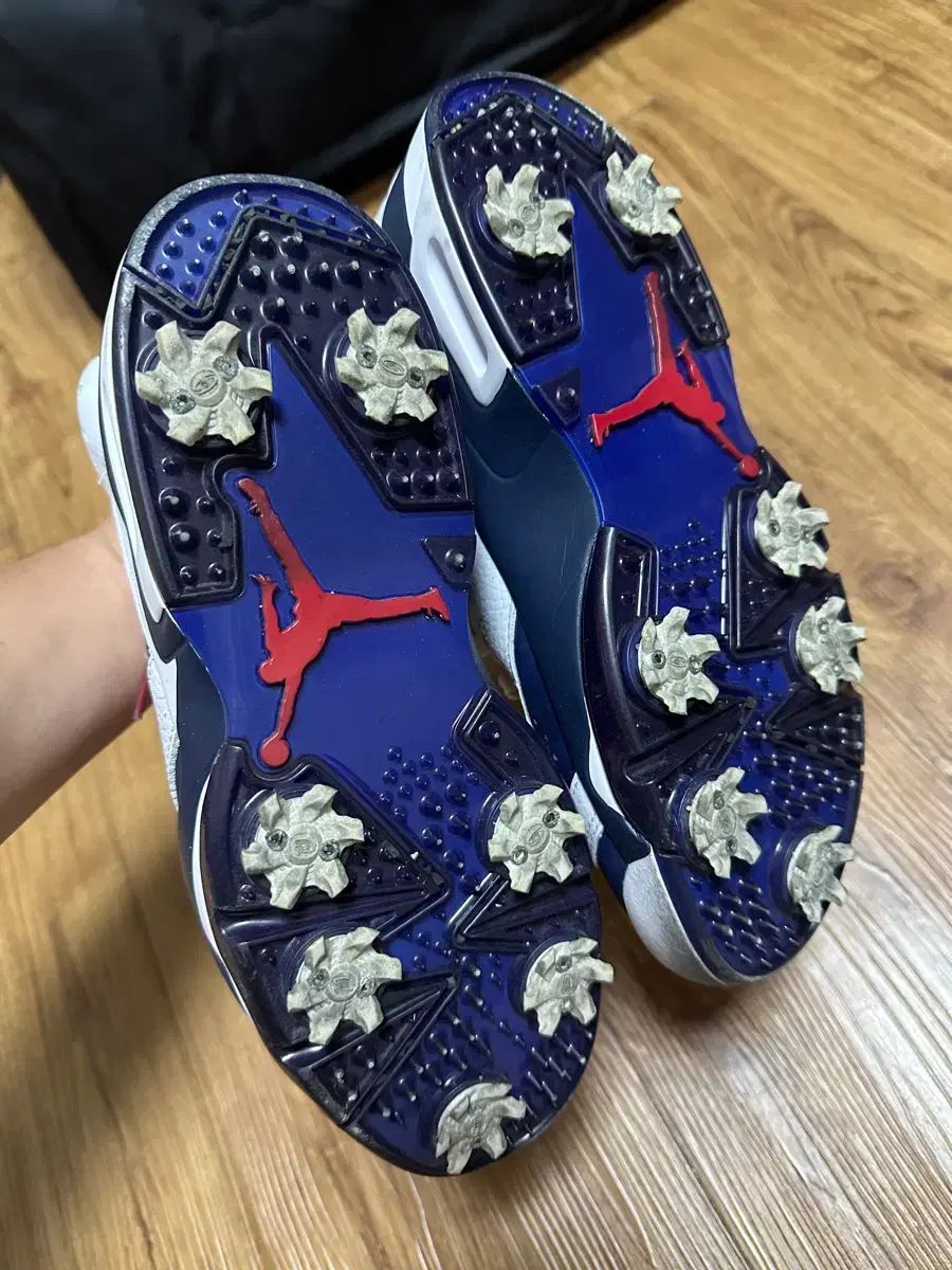 ジョーダン ゴルフ 人造芝 野球シューズ 260