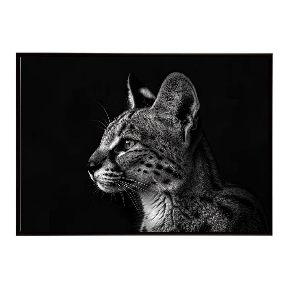 back number インディーズ時代CD4枚セット