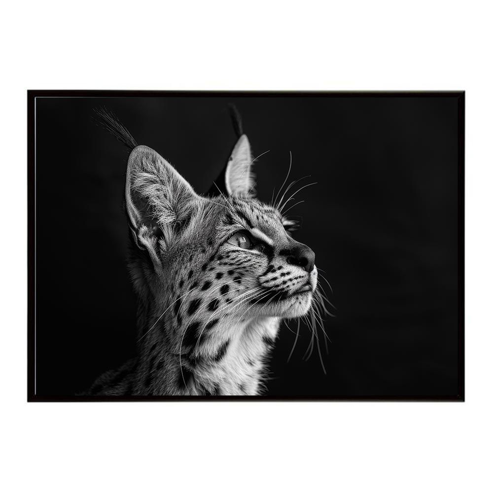 インテリア小物 【A1サイズ（約59x84cm）】【lh-poster-6281】Caracal
