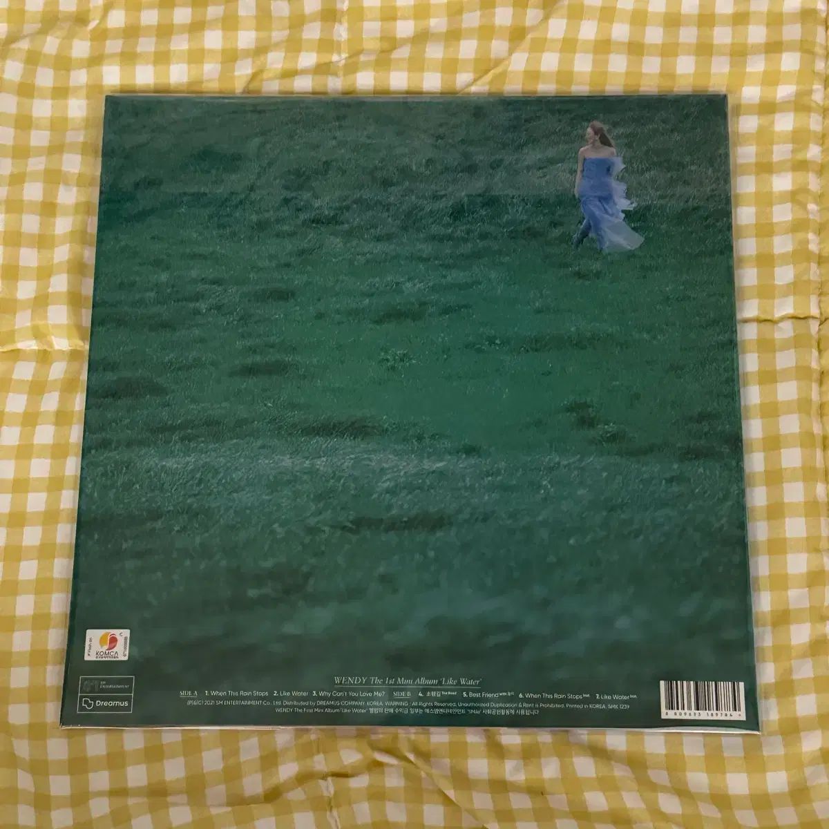 Red Velvet レッドベルベット レドベル ウェンディ Like Water 盤 LP