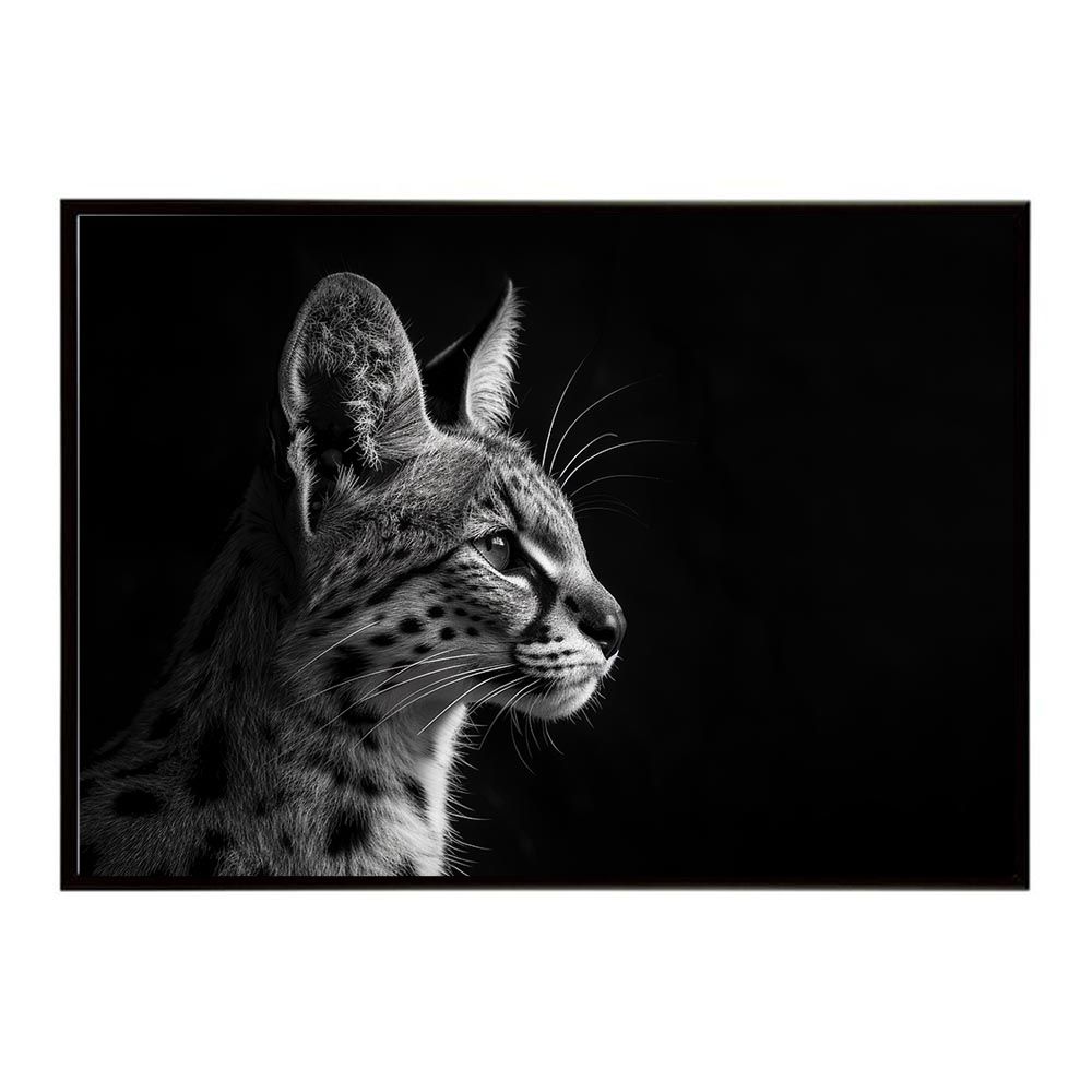 Philips ECG JAN 12AX7WA 6本 実機音出し バラ承ります